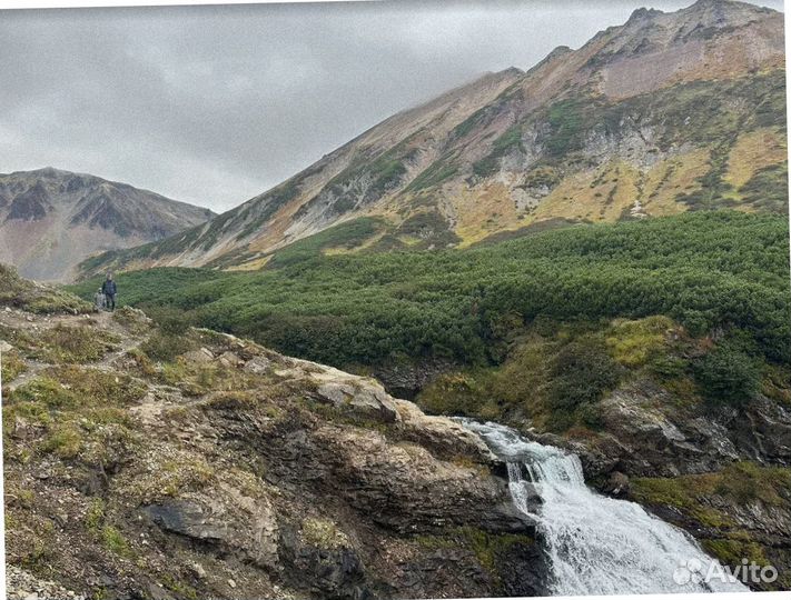 Турпутевка Камчатка летом экскурсии 7-9 дн