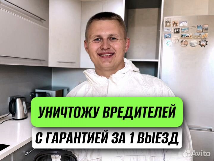 Уничтожение тараканов, клопов. Дезинфекция