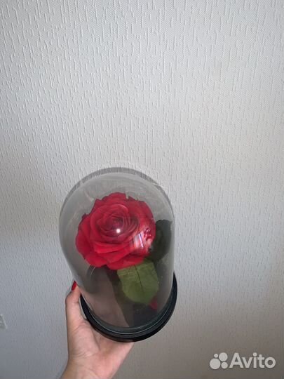 Вечная роза в колбе