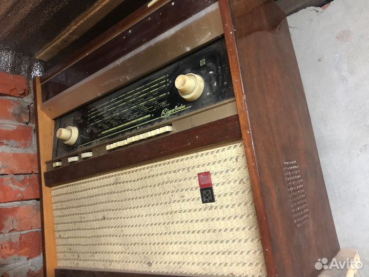 Радиола ригонда