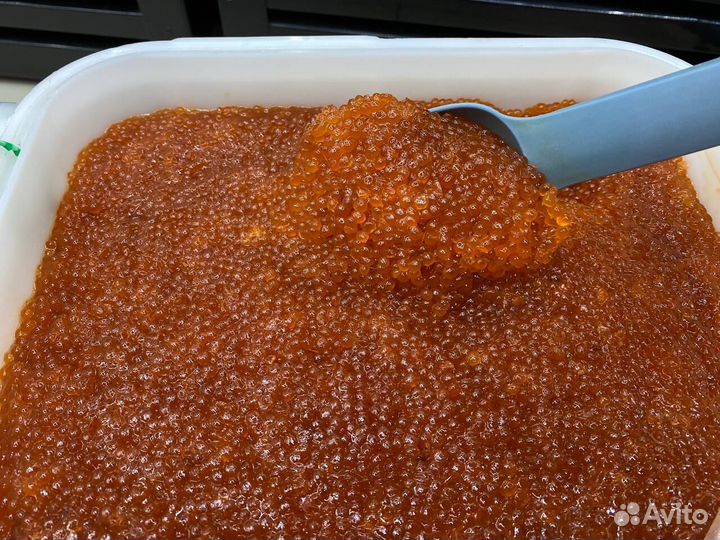 Красная икра. Только опт. Свежий улов