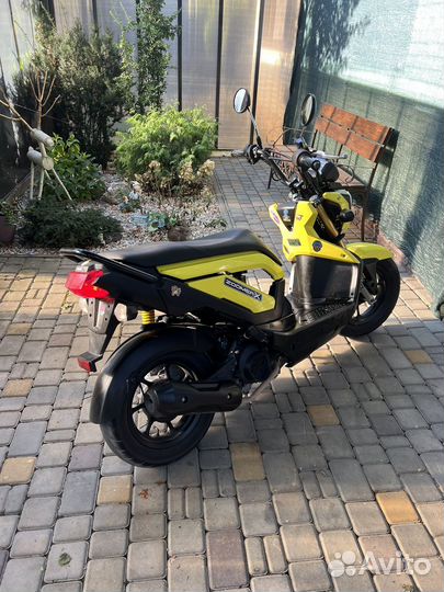 Honda zoomer x