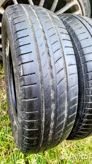 Pirelli Cinturato P1 175/70 R14