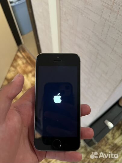iPhone 5s