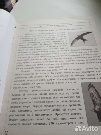 Комплексные задания к текстам 4 класс