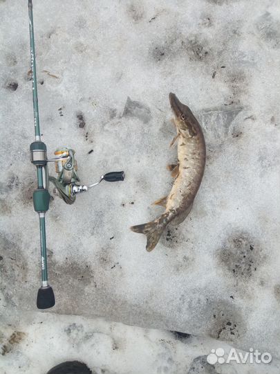 Силиконовые приманки и мормышки