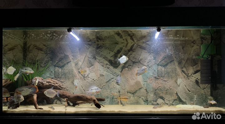 Аквариум 350 литров