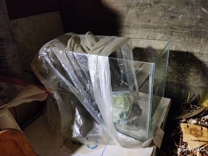 Аквариум 30 литров