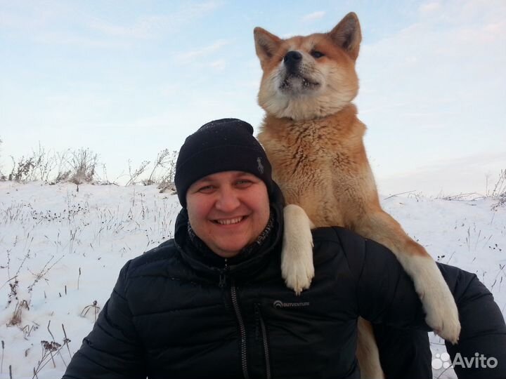 Идеальная собака с оплатой за результат. Гарантия