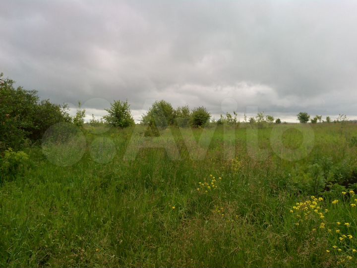 Участок 49,1 сот. (ИЖС)