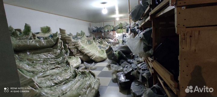 Кузовные детали ваз