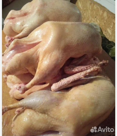 Продукты питания