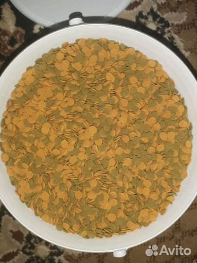 Корм для рыб