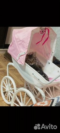 Продам шикарную коляску для кукол