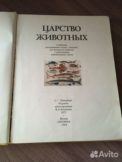 Детская энциклопедия росмэн