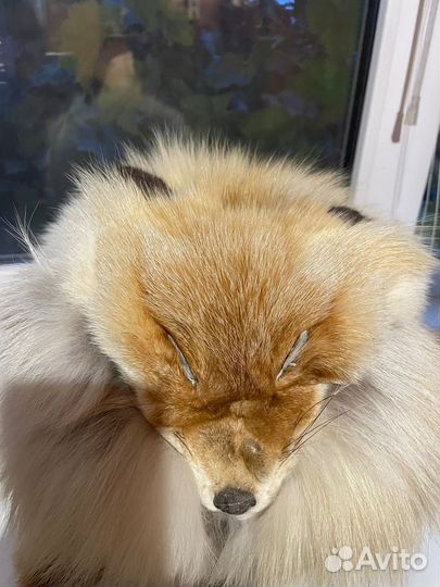 Лисья шапка