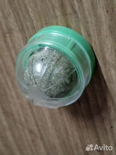 Кошачья мята