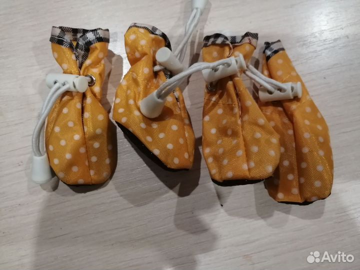 Обувь для собак