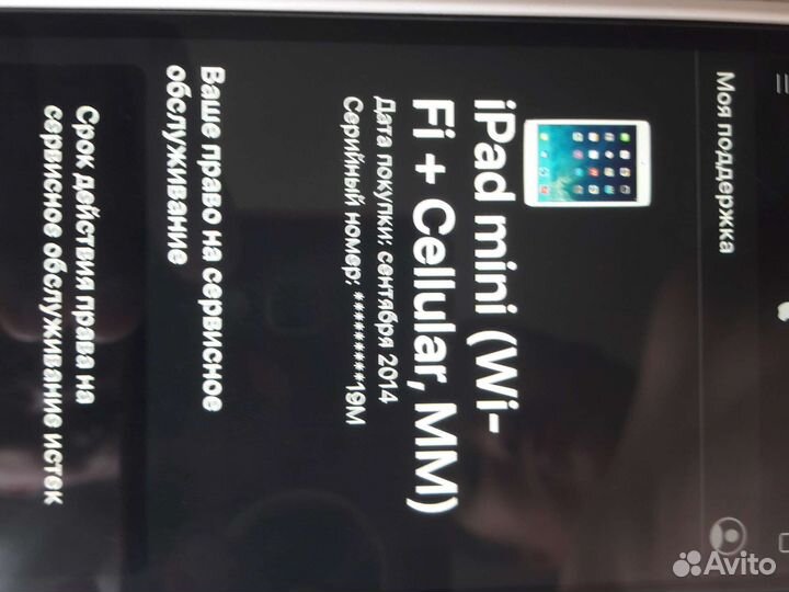 iPad mini (wi-fi+Cellular,MM)