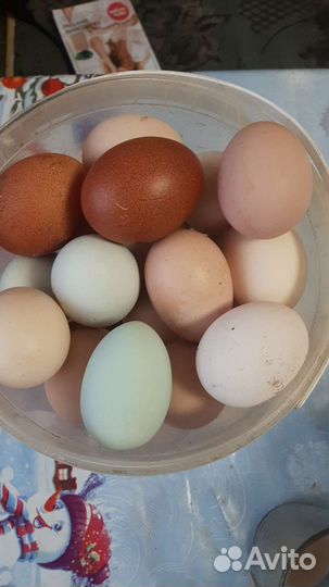 Мясо гуся, мясо утки,Яйцо куриное, жир гусиный