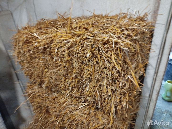 Сено солома в тюках