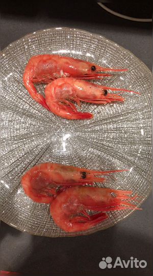 Креветка Северная