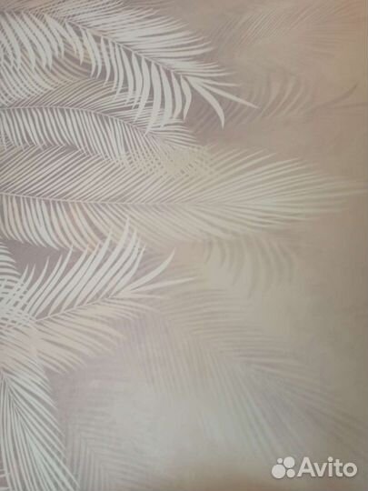 Фотообои листья пальмы