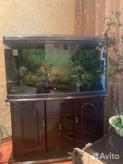 Аквариум с тумбой