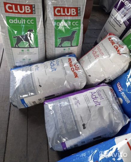 Корм для кошек royal canin