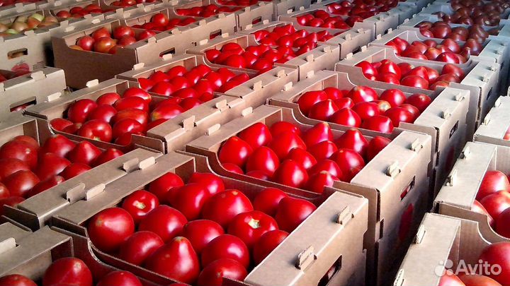 Грузчик Комплектовщик(ца) - Фасовщик / не сделка