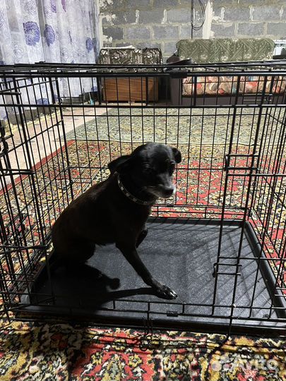 Клетка для собак