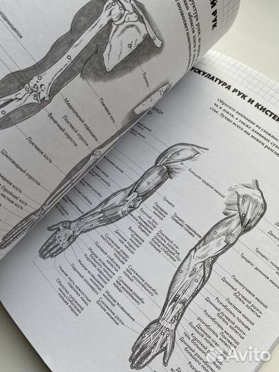 Книги по рисованию