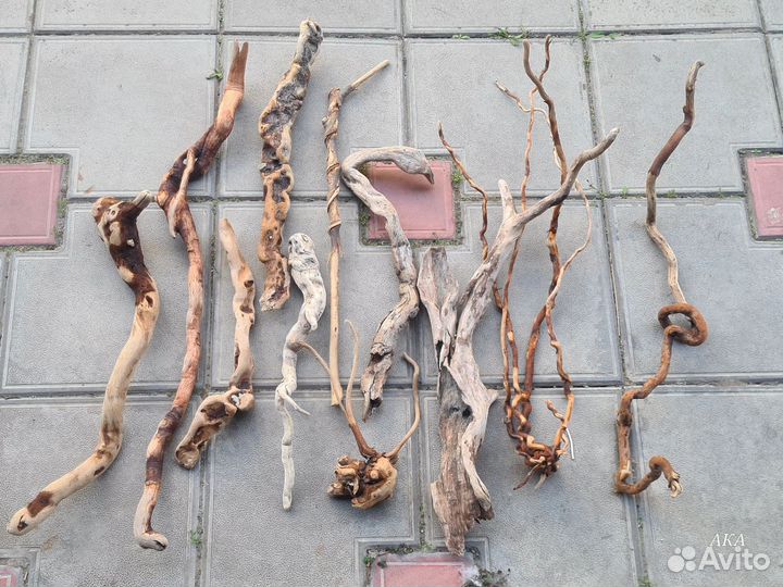 Коряги дрифтвуд