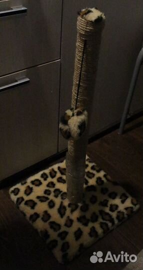 Когтеточка для кошек