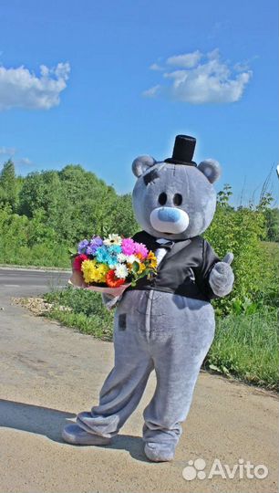 Мишка Тедди на праздник, ростовая кукла, аниматор