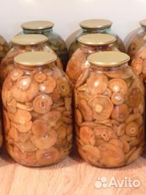 Продам грибы рыжики