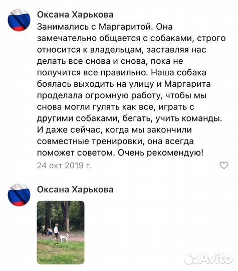 Кинолог зоопсихолог дрессировка собак