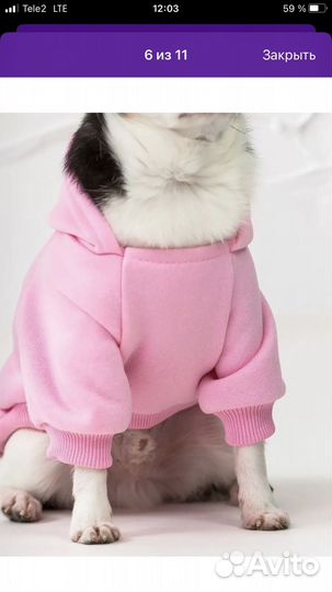 Кофточка для собак