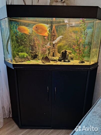 Аквариум угловой с тумбочкой