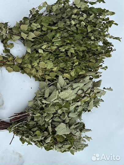 Веники для бани береза