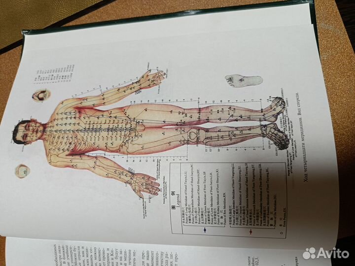 Основы китайской медицины, Сы Хуайджу, Лузина Лили