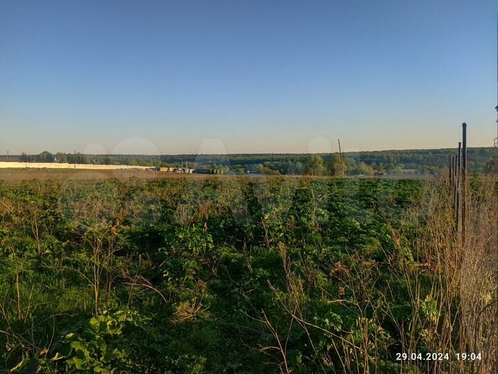 Участок 87 сот. (СНТ, ДНП)