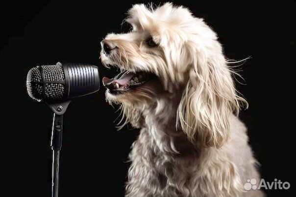 Уроки вокала для взрослых