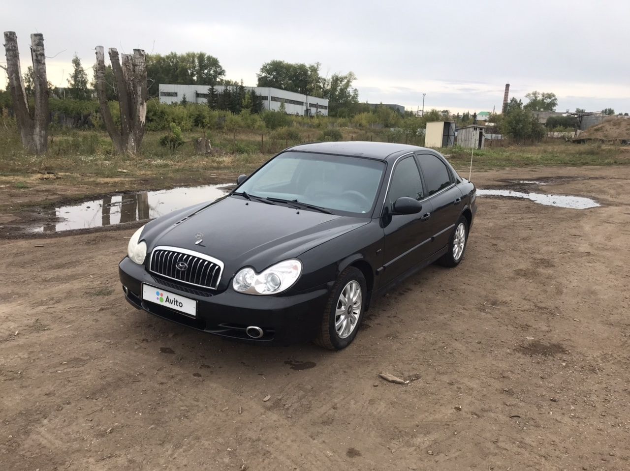 Hyundai Sonata: фото владельца