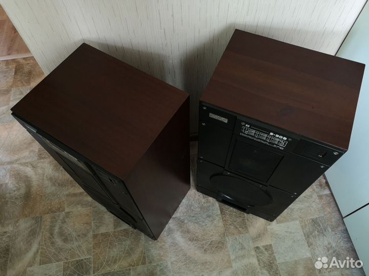 Колонки Радиотехника S90b