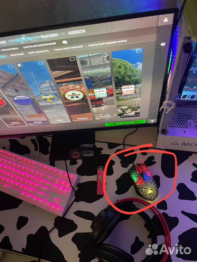 Мышка блади а 7