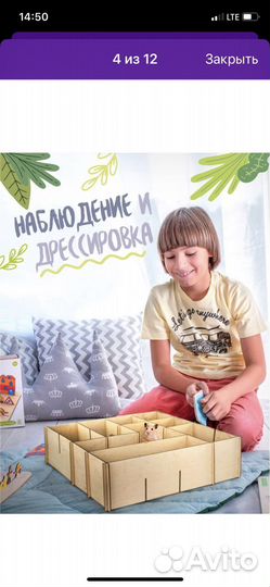 Лабиринт для грызунов