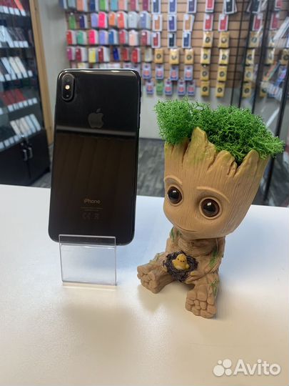 iPhone Xs Max, 256 ГБ