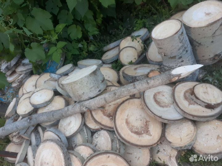 Осиновые колья,пеньки,срезы