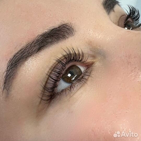 Мастер бровист